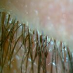 nuzeniec-dr-rowinski